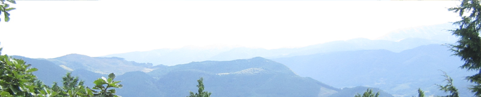 販売物件イメージ