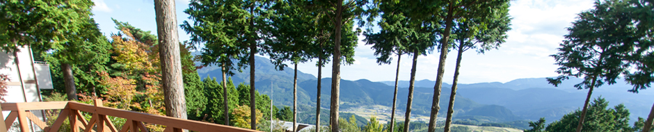 湯布高原の魅力イメージ